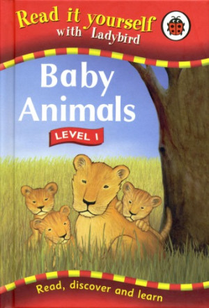 Baby Animals